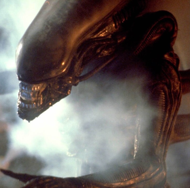 Alien (1979) – Das Grauen aus dem&nbsp;All